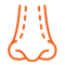 Cosmetics-Prosthesis-Icon